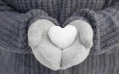 Danke, Rückblick und Ausblick für 2026